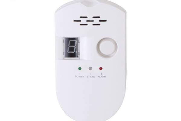 Routine inspection of combustible gas alarm